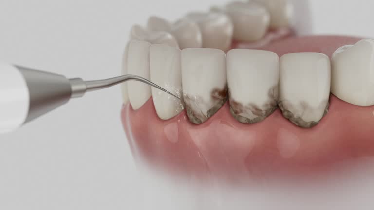 Reliable Dental contractor in Ball, LA by Dentist Open Now